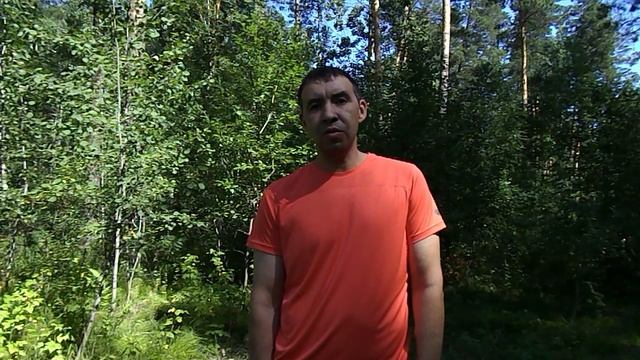 Габзалилов Шамиль НЛП Практик 2019
DSCN0126 смотреть онлайн