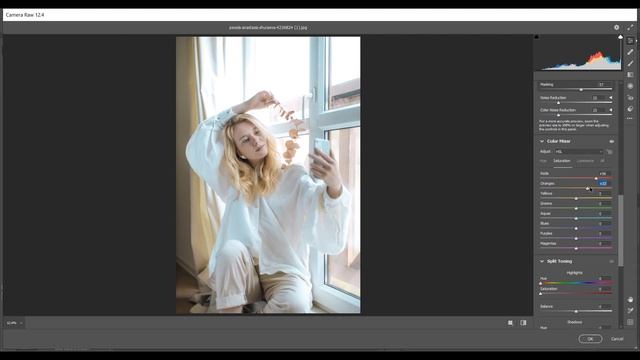 COLOR GRADING PRESET - MINIMAL WHITE THEME - DNG & XMP ( NO PASS ) смотреть онлайн