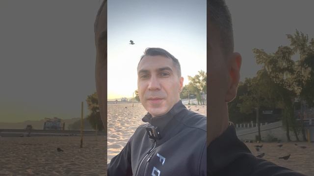 Полифазный сон. День 11 из 100 ?Счастье и энергия. Колесо баланса смотреть онлайн