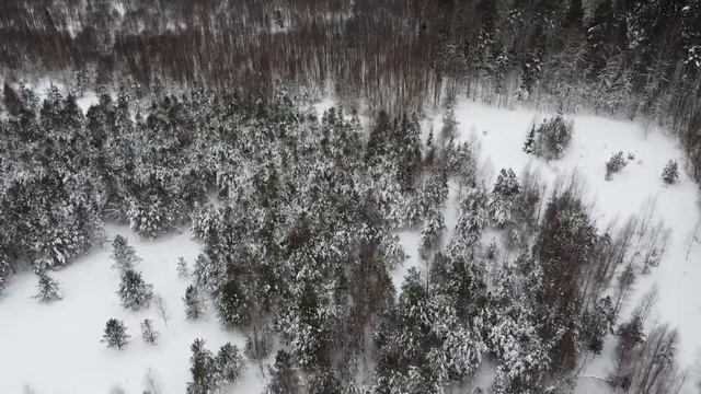 Загонная охота на лося глазами коптера смотреть онлайн