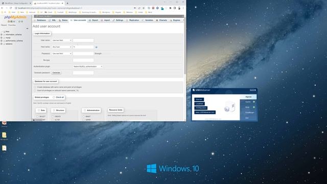 Wordpress installation using USB Web Server смотреть онлайн