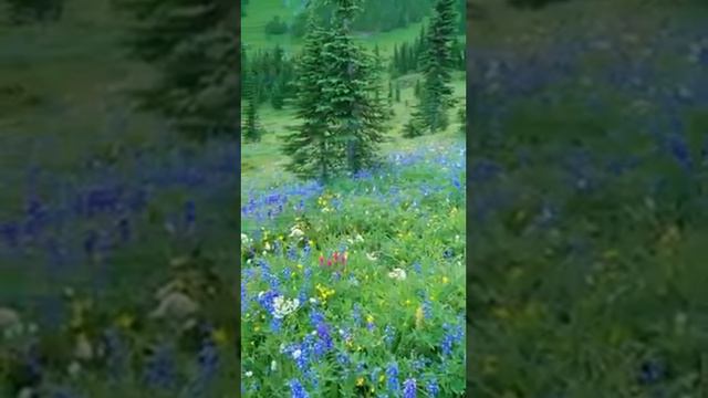 Потрясающе.. ❤ спасибо Автору этой красоты Господу и замечательному фотографу, который это заснял смотреть онлайн