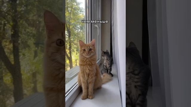 Об устройстве мироздания, подписывайся