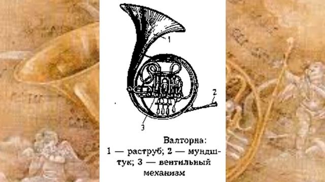 04.08.21. В мире музыкальных инструментов: валторна (ЦГБ им. Н. А. Некрасова, читальный зал) смотреть онлайн