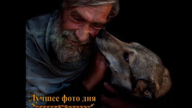 Лучшие фото дня в группе "ФОТОМИР" смотреть онлайн
