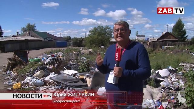 Насколько реально выполнение приказа сити-менеджера в части безнадзорных животных? смотреть онлайн