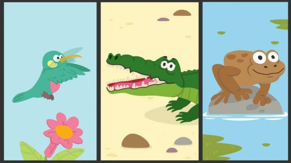 Бодо Бородо. Путешествия, 42 серия. Куба