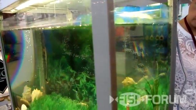 Зимняя электронная удочка Удача 4 смотреть онлайн