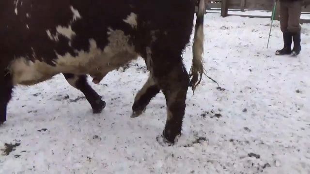 Lot 47 - AEN 173H смотреть онлайн