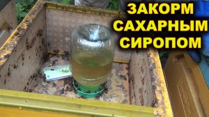 Закорм в зиму сахарным сиропом.
