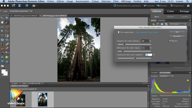 Adobe Photoshop Elements 10 : Corriger une photo prise en contre-jour смотреть онлайн
