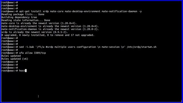 How To install And Configure XRDP Server Ubuntu 18.04 LTS Bionic Beaver смотреть онлайн