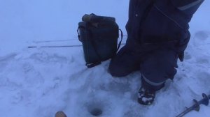 Зимняя рыбалка. Налим на стукалку.