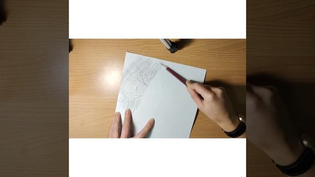 Графика. Фроттаж.