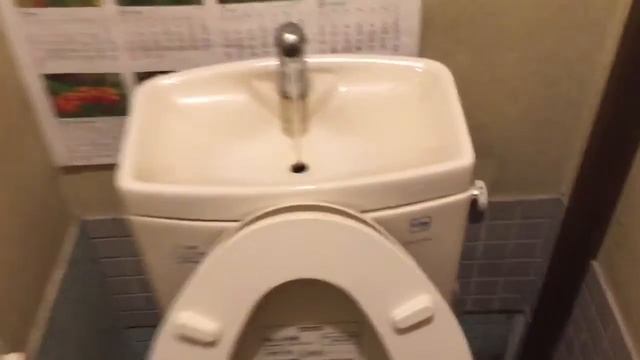 Японский инженерный гений: унитаз и раковина в одном флаконе смотреть онлайн