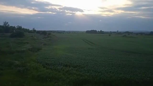 Спасаем ячмень от вредителей. смотреть онлайн