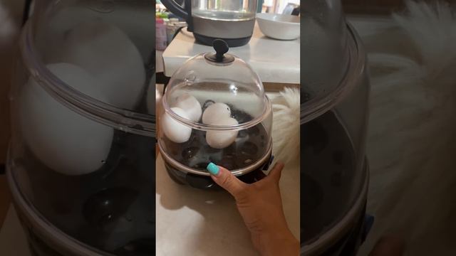 Prepare a morning breakfast with Pebbles/Ivari 🐶 смотреть онлайн