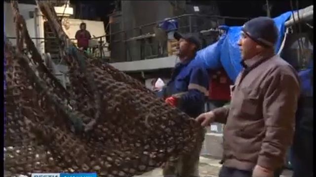 Трансарктическая научная экспедиция на Чукотке 2019 смотреть онлайн