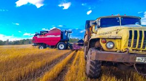 Уборочная 2022 Убираем Ячмень Второй День Вожу Зерно На Урале, Дорога опять Грязная.