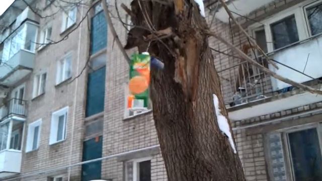 Прикольная кормушка (типа испытай удачу...) смотреть онлайн