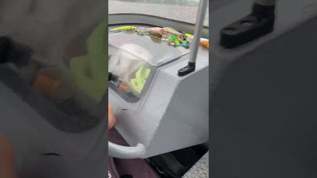 Селигер (без слов. Эмоции) смотреть онлайн