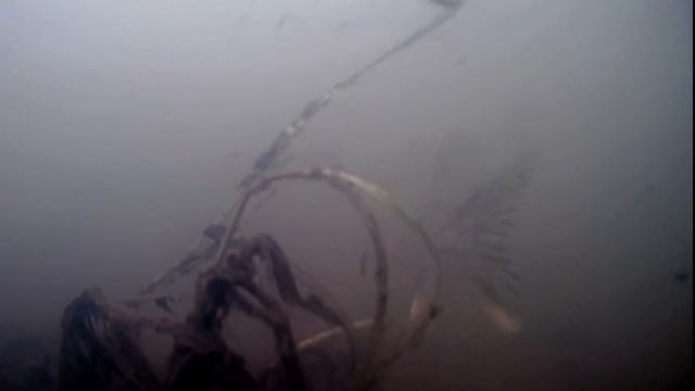 Щука на живца! Ловля Щуки на Поплавок с Подводными камерами! смотреть онлайн