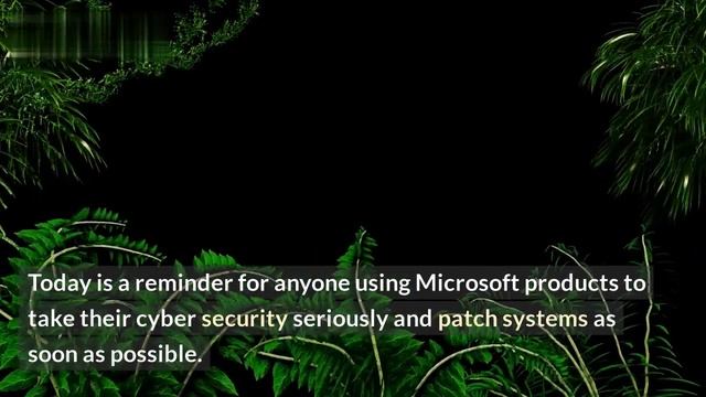 Microsoft releases solutions for crucial security holes: Update Now! смотреть онлайн