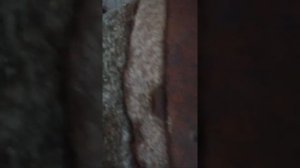 Жернова каменные старинные, ручная мельница для муки. 13.04.2020