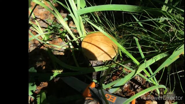 Якутск 2020 смотреть онлайн