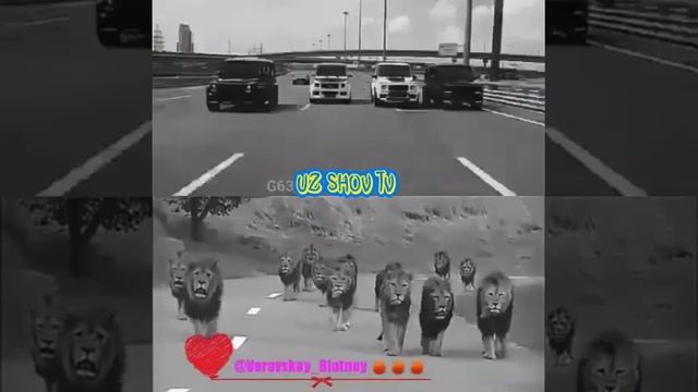 Фантанчик с черным дельфином. Подпишитесь наш канал смотреть онлайн