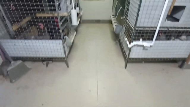 ТеплоКреатив