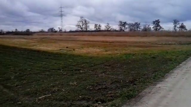 Landschaft Groß-Gerau смотреть онлайн