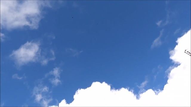 Взлёт голубей 14.06.17г. смотреть онлайн