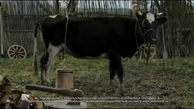 Автоплатеж от Сбербанка смотреть онлайн