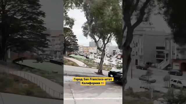 Город San Francisco штат Калифорния ?? смотреть онлайн