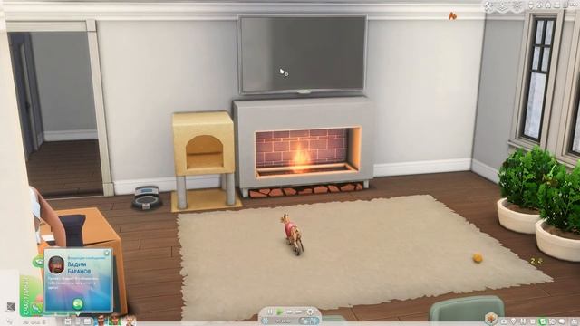 [СТРИМ] The Sims 4 Династия Рид #16│ смотреть онлайн