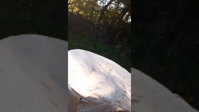 Рецепты для гурманов и ценителей вкуса 