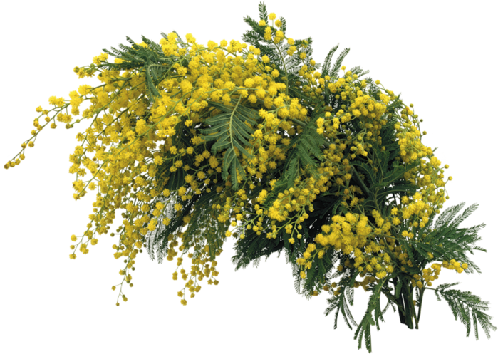 гр. Белый орел - Как упоительны в России вечера (клип).mp4 смотреть онлайн