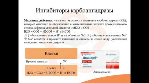 26. Средства, влияющие на водно-солевой обмен. Диуретики