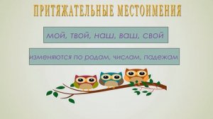 Русский язык 6 класс «Разряды местоимений» Учитель: Митюшкина Алёна Юрьевна