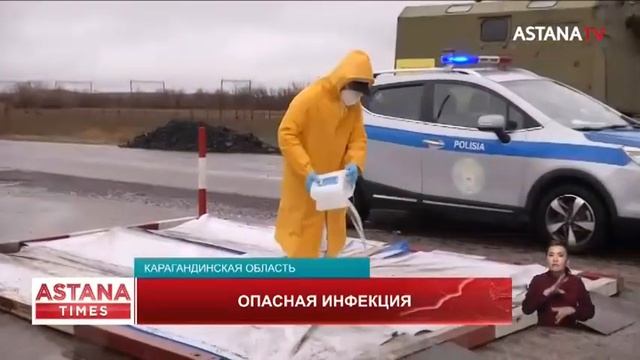 Трое карагандинцев заразились сибирской язвой смотреть онлайн