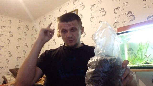 Что пить вместо чая и кофе 2! Иван чай (кипрей) и кое-что еще. смотреть онлайн