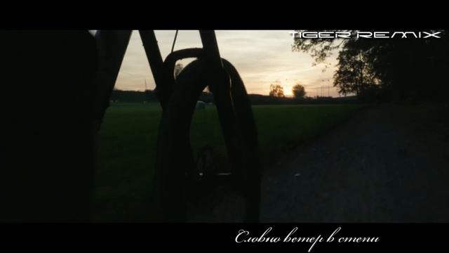 Дидюля - Словно ветер в степи _Tiger Remix