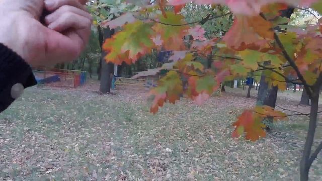 Оттенки красного. Желтые Воды, Октябрь 2019. смотреть онлайн