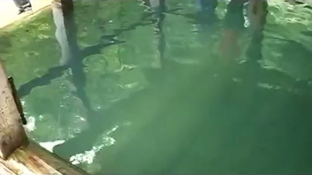 Святые источники России смотреть онлайн