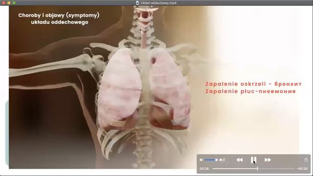 Польский для врачей. Польский для стоматологов. Медицинский польский. Польский для медиков. смотреть онлайн