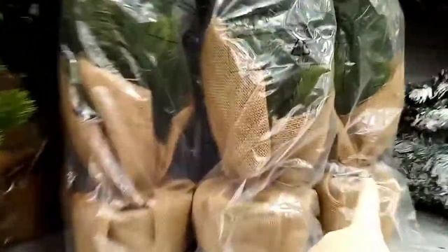 ЕХАЛИ В ЛЕНТУ, А ПОПАЛИ НА ШТРАФ СТОЯНКУ/РАСПАКОВКА ЛПС НОВОГОДНЯЯ КОЛЛЕКЦИЯ/Lps Eva Light смотреть онлайн