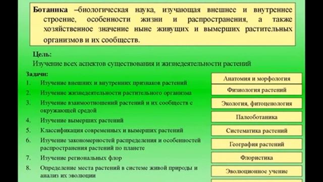 Физиология растение Задачи предмета ботанике Халилова Ф М смотреть онлайн