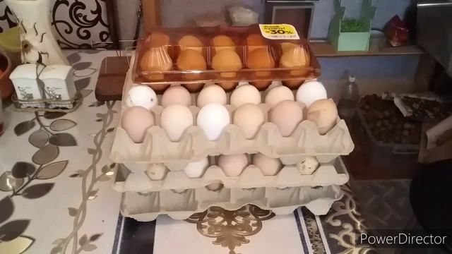 #влог//Как Продать Свою Продукцию?//Сколько Стоят Яйца?//Цены на Корма в Краснодаре!